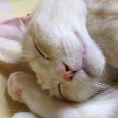 waya_keiba's profile picture. 競馬/NBA/サウナ/深夜ラジオ 予想は血統重視。NBA推しはシェイドンシャープ。ANNKW。