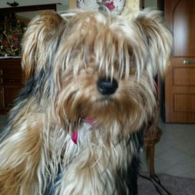 chrplevraki's profile picture. Ηράκλειο, Κρήτης