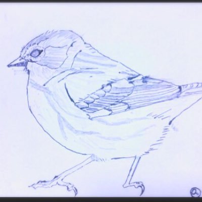 飾らず手折らず凛として٭❀*散り際とて艶やかなれどしたたかに٭❀*   成人済みの人❁⃘*.ﾟ