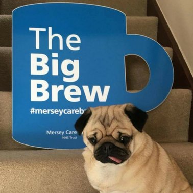 The_BigBrew's profile picture. We're making it our mission to break the stigma around speaking out about #mentalhealth & #suicide. Join us & show your support by taking our #Brewfie Challenge