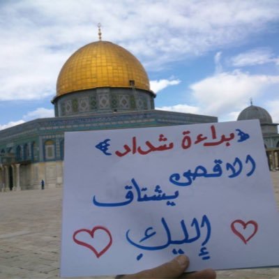 b_shadad's profile picture. خريجة قسم الرياضيات من@iau_cs، طالبة في معهد ابن كثير لإعداد معلمات القرآن الكريم🤍