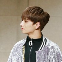 hong jisoo. (@svtxjoshua) 's Twitter Profile