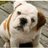 WES_GrantElem's profile image