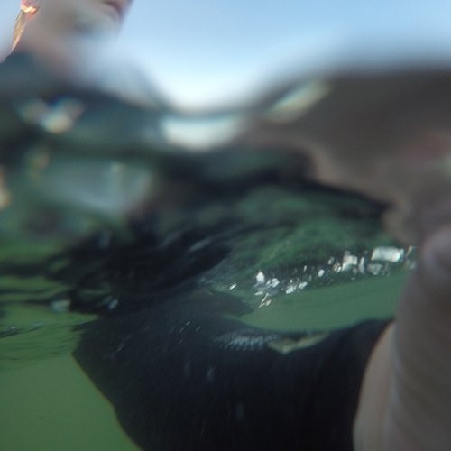 matthewch's profile picture. 