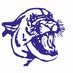 Bloomington South (@bhsspanthers) Twitter profile photo