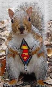 BigPopUpFunGame's profile picture. @BigPopUpFunGame is a hashtag game that happens whenever and might find a home one day! @NYActor & @SassierCassie