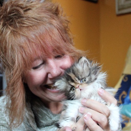 IntuitSoulRadio's profile picture. Producer & Host of News for the Heart @ iHeart. Laurie is an author, Intuitive Counselor & Energy Clearer https://t.co/8hmDI5VGKm