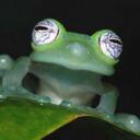 Guy Chouinard - @mitzou - Twitter