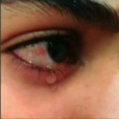 letsilenthehate's profile picture. 