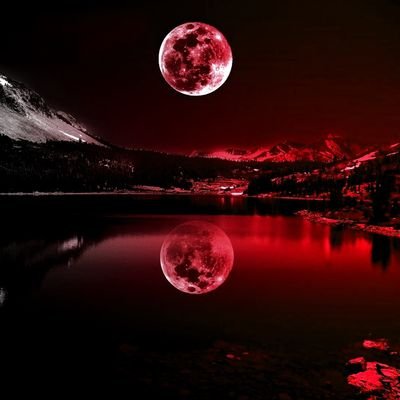 faise_anam's profile picture. 