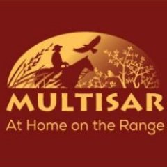 MULTISAR Profile Picture