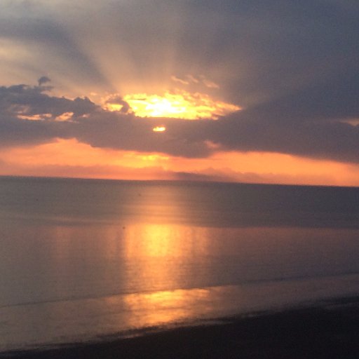 RickDavis907's profile picture. 