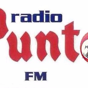 puntofm Profile Picture