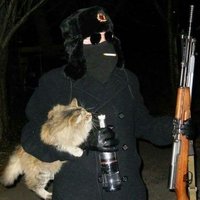 virus▼ (@_a_virus_) 's Twitter Profile Photo virus▼ (@_a_virus_) 's Twitter Profile Photo