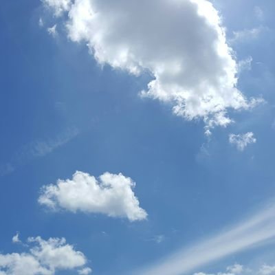 chocensolutions's profile picture. Building Greater Connections