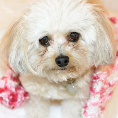 namtreb68's profile picture. Golf - 18 holes of stroke filled relaxation.