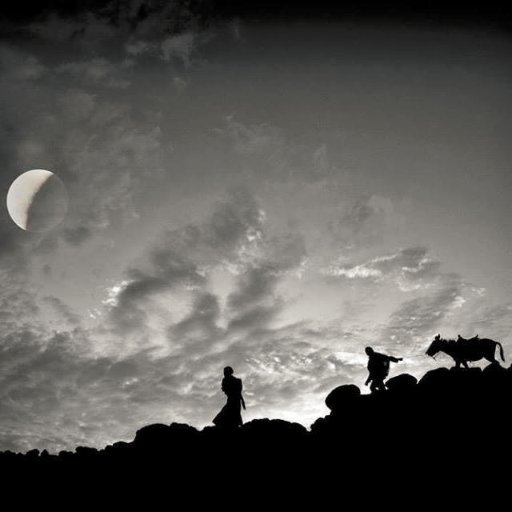 hailuashagre's profile picture. 