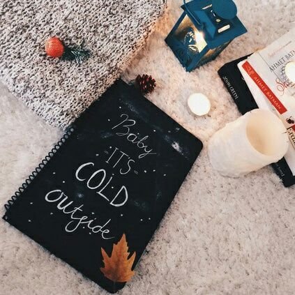 ❈ ∫ Where my thoughts are designed with words, fashioned by ink and compiled in a hardbound journal. •—• Flipping pages. ( @RuffleMyWings's diary ) •