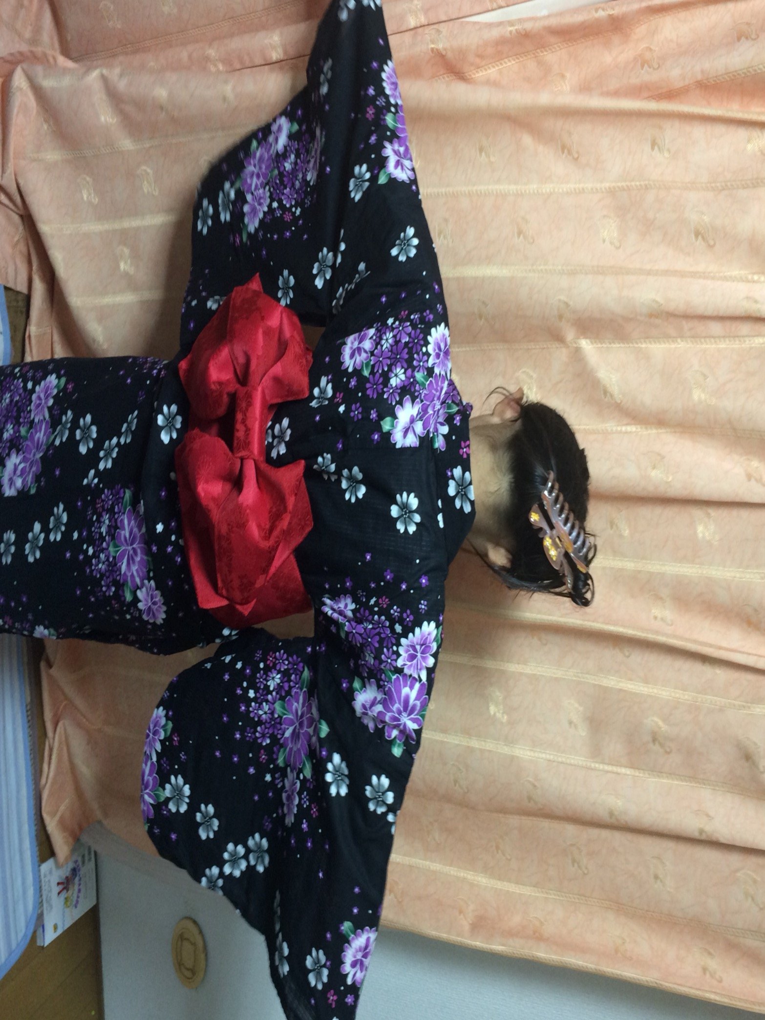 Allmodcons1970's profile picture. 