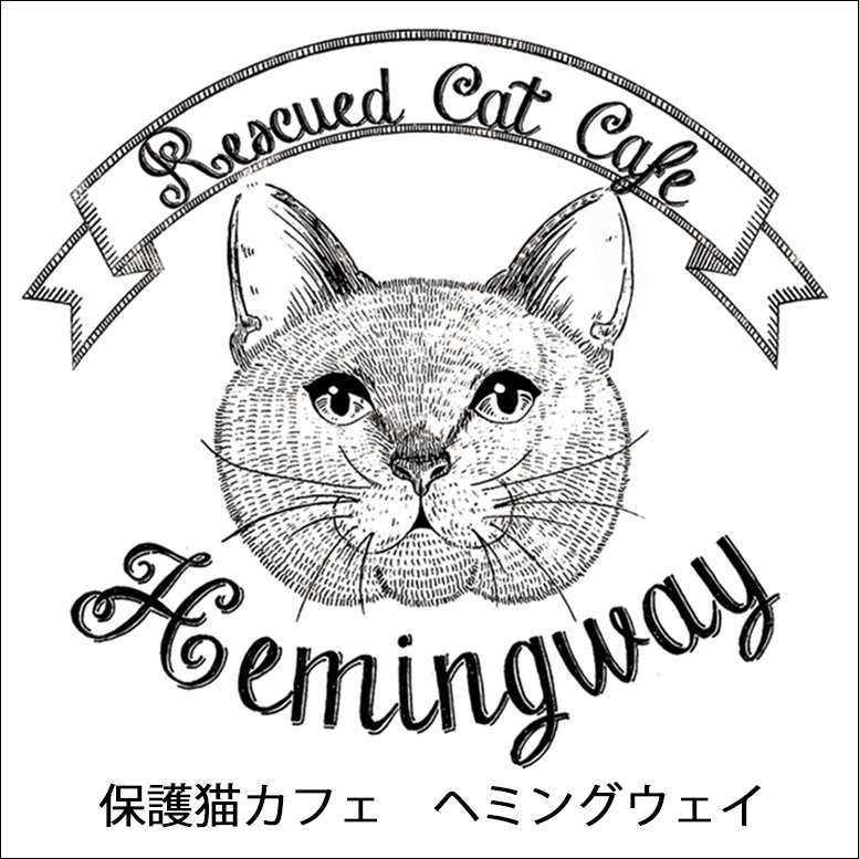 保護猫カフェ Hemingway カシューくん くるみくん兄弟 もうカフェは攻略したにゃん なかなか大物兄弟です 保護猫カフェヘミングウェイ 保護猫カフェ 猫カフェ 保護猫 猫 里親募集中
