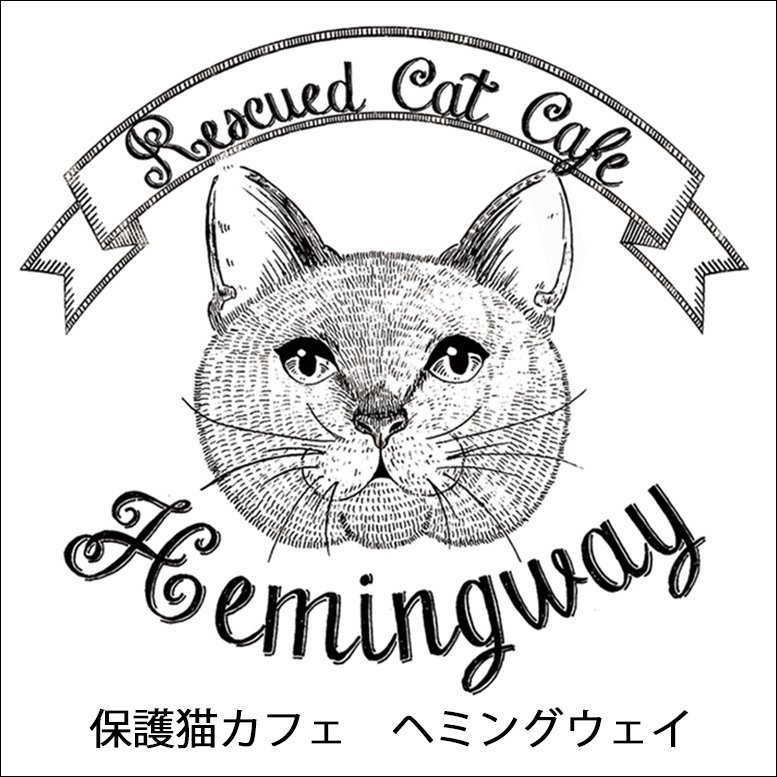 hemingway12cat Profile Picture