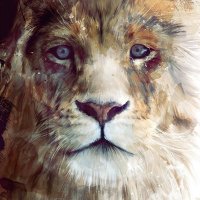 LikeALion(@CryptoCoin_Lion) 's Twitter Profileg