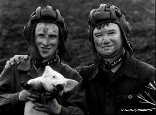 homopopuli's profile picture. Volksmann