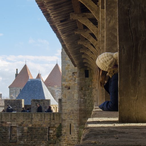 TATraveler's profile picture. 