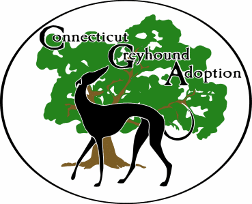 We are a #nonprofit 501(c)(3) in #Connecticut dedicated to finding former racing #greyhounds their forever home. #ctgreyhounds #cga #greyhoundadoption