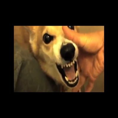 うえい