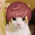 じゃっぴぃ (@jabi0830) Twitter profile photo じゃっぴぃ (@jabi0830) Twitter profile photo