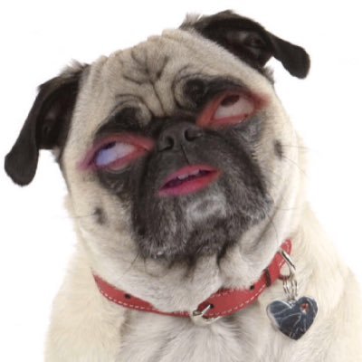 syrnayadusha8's profile picture. Плохо, когда ты впечатлительный, а тебя уже давно ничего не впечатляет.