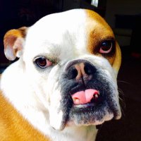 Mandy (@mrshthe1st) 's Twitter Profile Photo Mandy (@mrshthe1st) 's Twitter Profile Photo