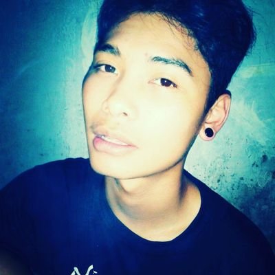 Roni ardians freeline modell