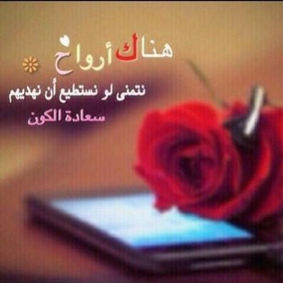 بنت ابوها He856 Twitter