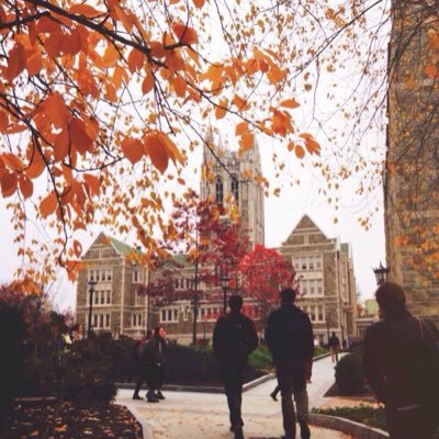 LowaRpg's profile picture. Perso pris dans les fav • inscription en dm ON • Rpg pas encore ouvert
notre jalouse: @TheGossipgirl_7