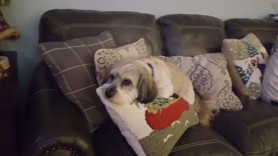 WichitaBankRepo's profile picture. 