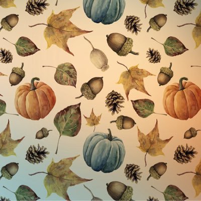 urimtboy's profile picture. 