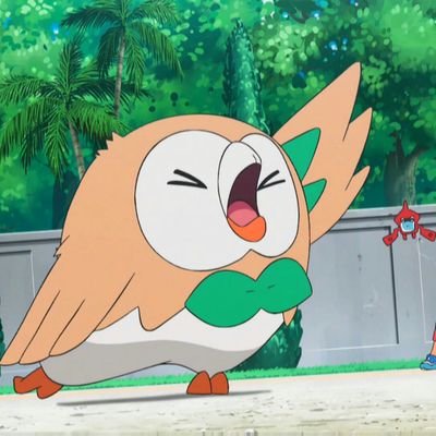 アニメはポケモンしかわかりません。アニポケを別の角度から読み取っていきます。カロス組ありがとう。。。。大きな声で、アローラ！【金曜日しか浮上しないと思われます(。-∀-)】モクロー好き♡♡