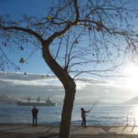 ercument sener (@ercumentsener) 's Twitter Profile