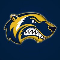 Helsinki Wolverines (@wolverinesaf) 's Twitter Profile