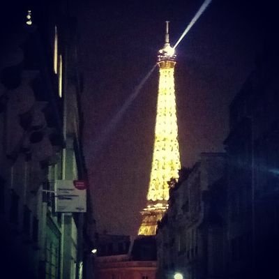 rayedAL's profile picture. 