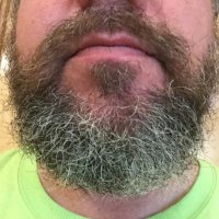 Joe Getty's Beard (@joegettysbeard) 's Twitter Profile Photo