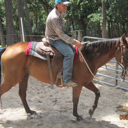 I am a independent author of Your First Horse, Successful Winter Horse Care and Trail Riding on Horse Back, writer and Horse sale manager work and live in Texas