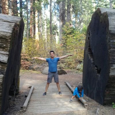 Fredy_Gomez_J's profile picture. Software Engineer