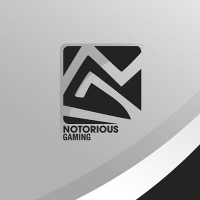 Notorious Gaming | Get your Game On! Amateur Call Of Duty gaming Team!! looking to be the best | Members: @Jerred_Ambrose5 | @MatthewWemette | @astauf18 #NTRS