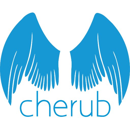 cherubzw's profile picture. Relevant Research, Inspired Innovation