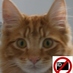 Ptigga / Mark (@djb_ptigga) Twitter profile photo