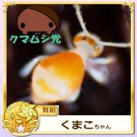 トビおじ (@schrodingerscap) Twitter profile photo