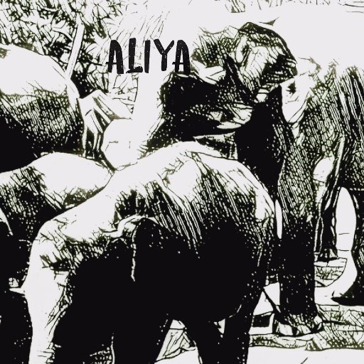 Aliya means Elephant